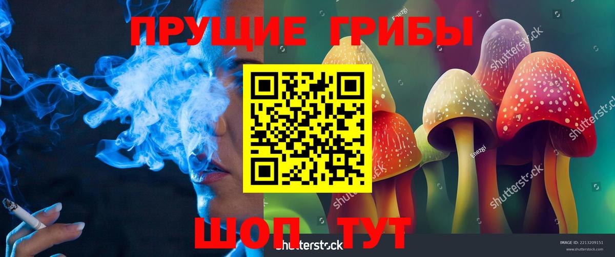 Галлюциногенные грибы мицелий Когалым
