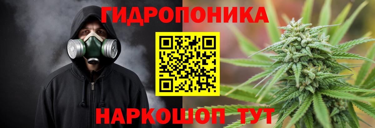 Когалым  Шишки марихуана план  Вход с VPN  Бошки марихуана White Widow  Бошки Шишки SATIVA & INDICA 